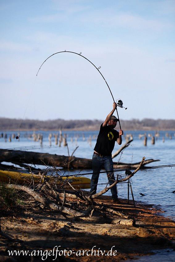 fish - 481585645293835658611728175227n.jpg